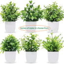 Artificial Bonsai Plant in Pot for Home Decor
